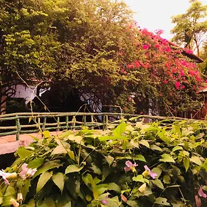 https://hungry-lion-resort.kandyhotelsnow.com